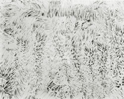 Iceland Photographs by Paula Chamlee